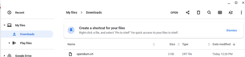 File:3 Cert in downloads folder.png